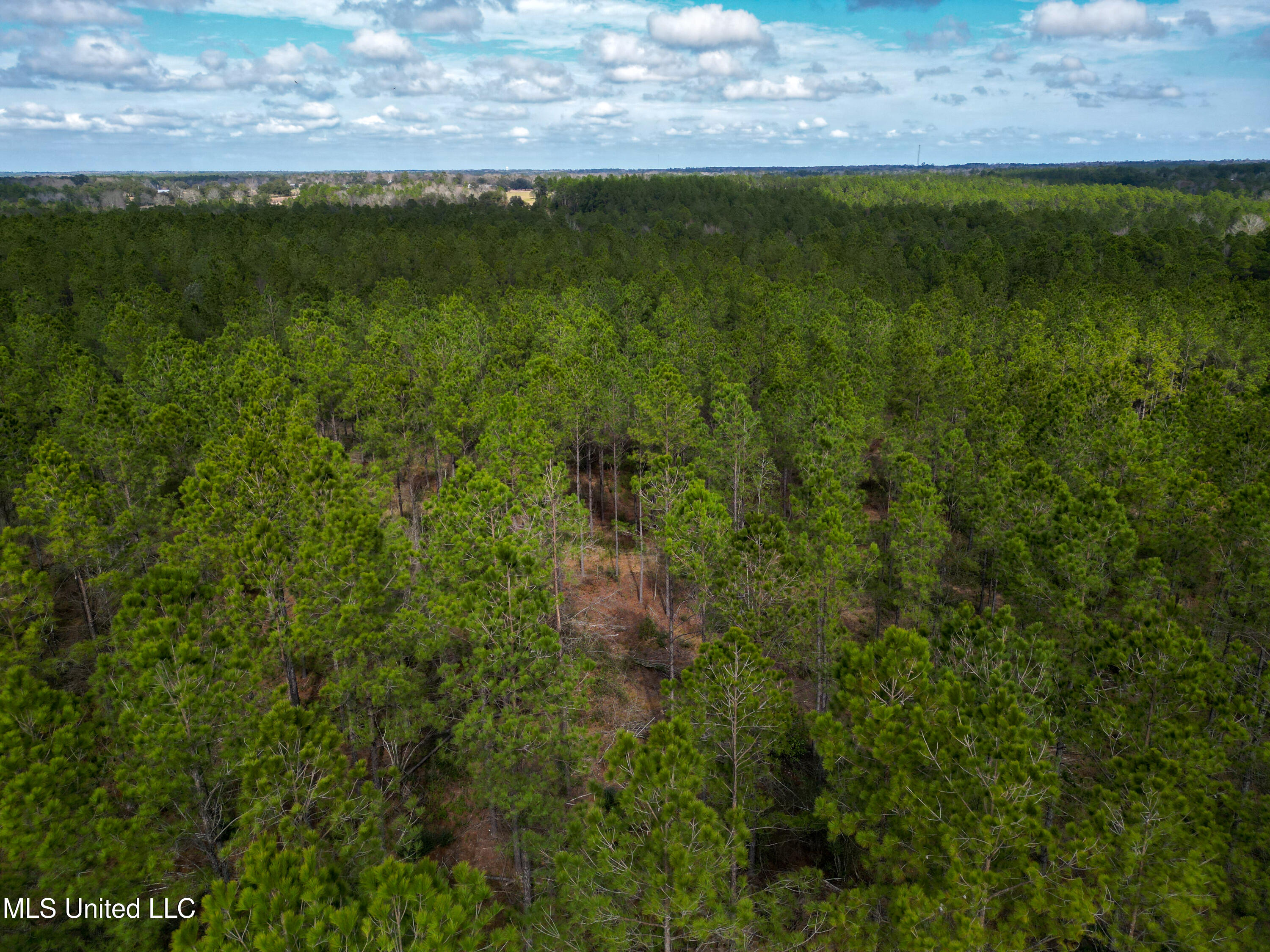 Firetower Road, Kiln, Mississippi image 2