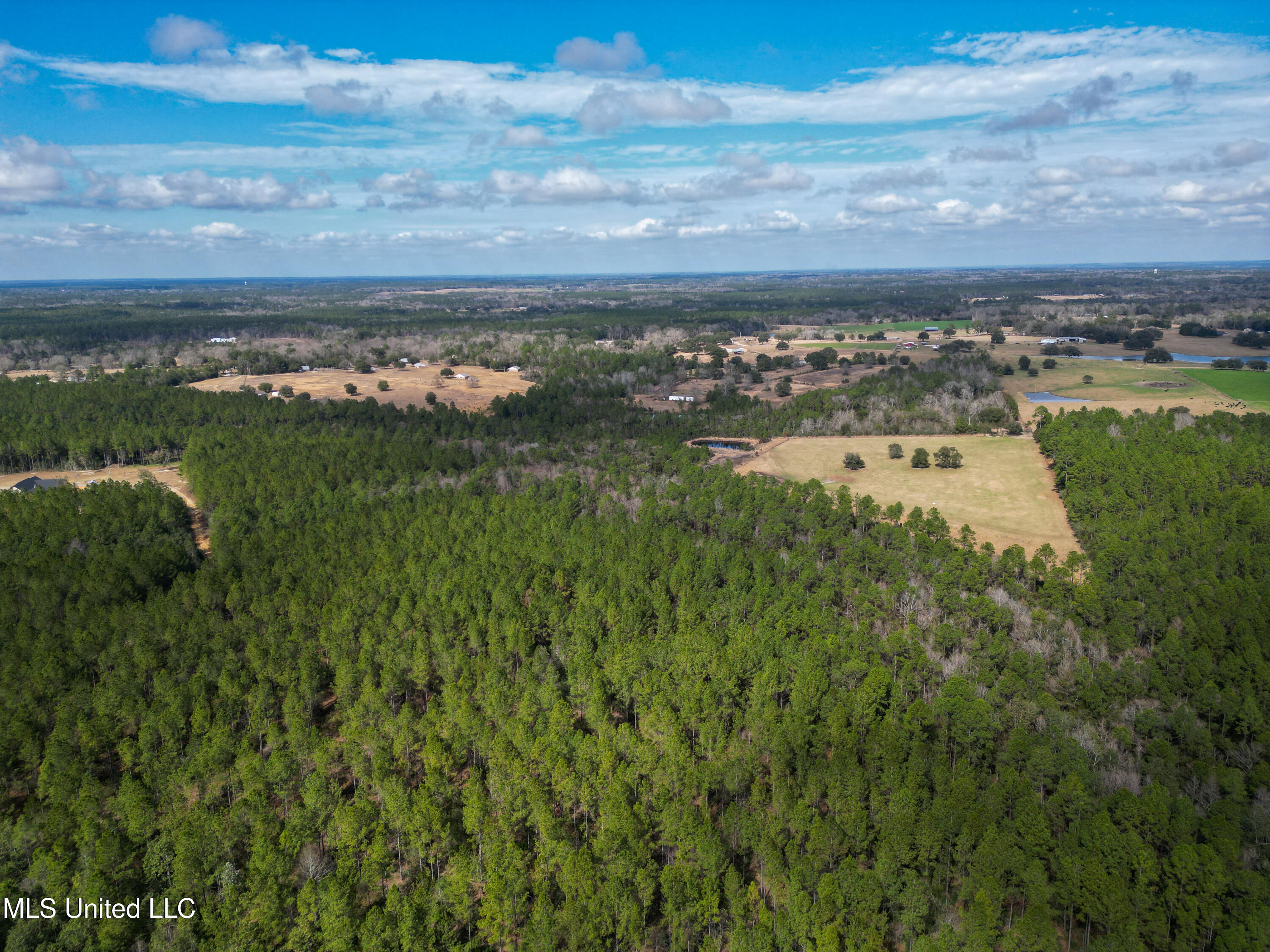 Firetower Road, Kiln, Mississippi image 5