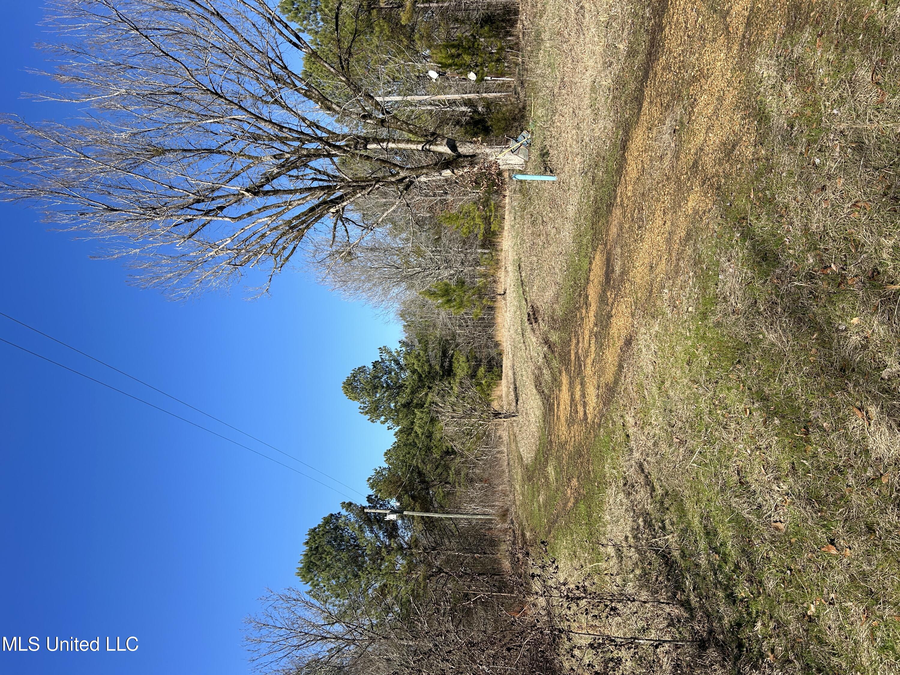 Phillips Road, Cruger, Mississippi image 6