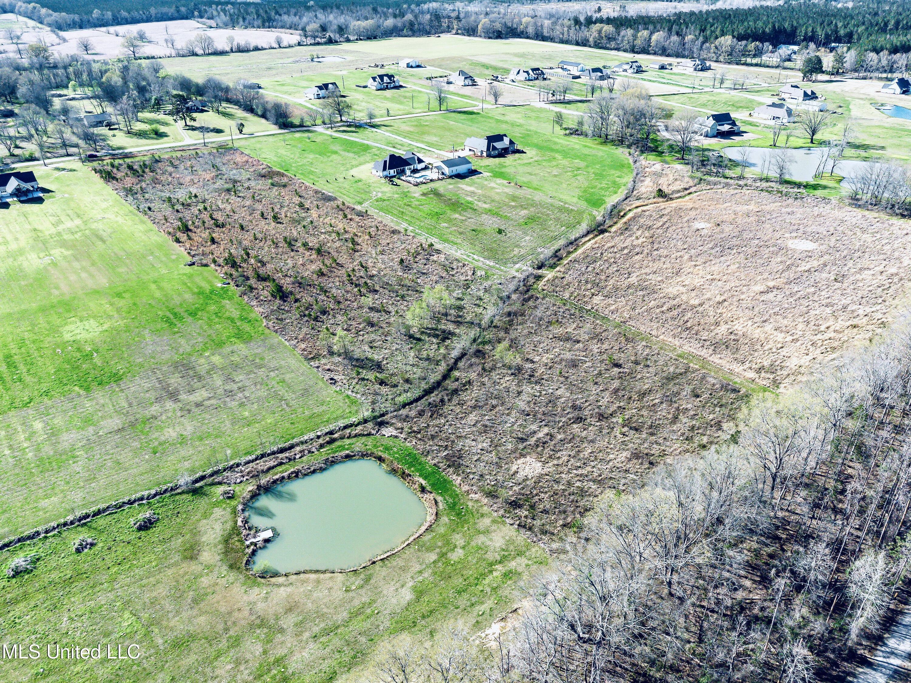 Lot 7 Stump Ridge Road, Brandon, Mississippi image 4
