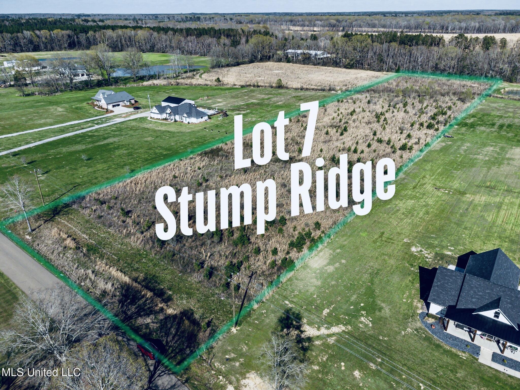 Lot 7 Stump Ridge Road, Brandon, Mississippi image 1