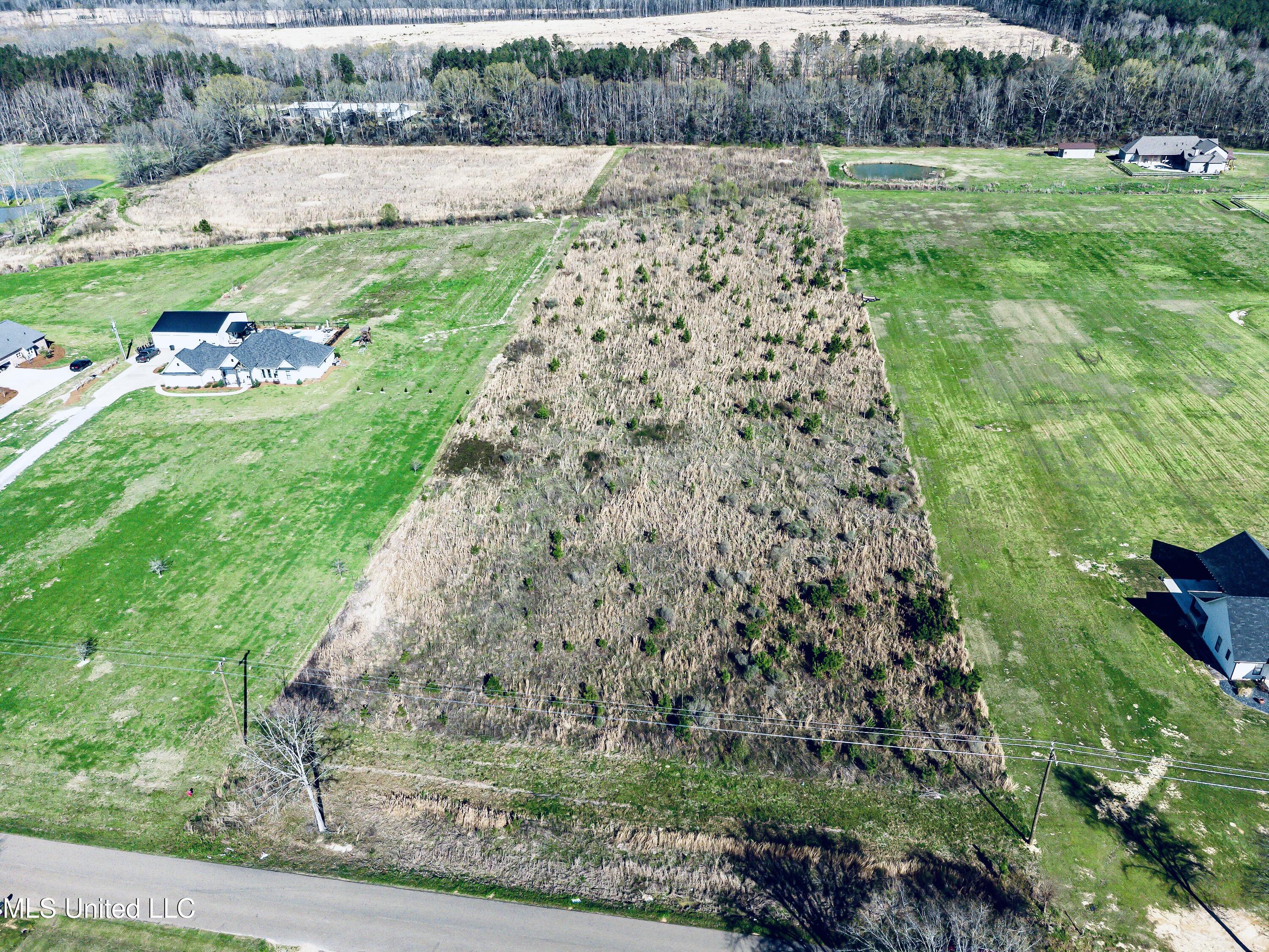 Lot 7 Stump Ridge Road, Brandon, Mississippi image 5