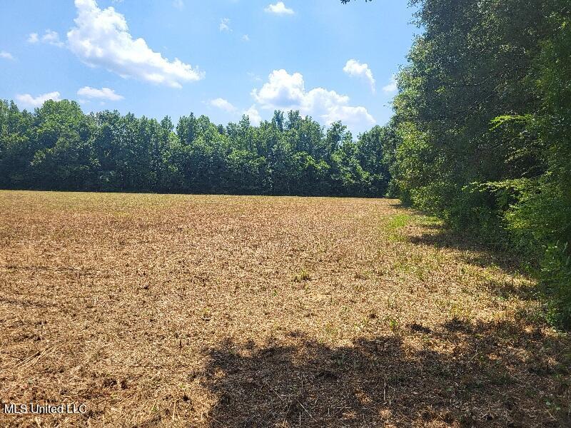 1604 N Old Canton Road, Canton, Mississippi image 3