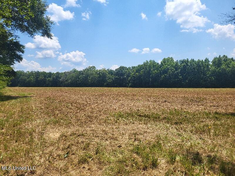 1604 N Old Canton Road, Canton, Mississippi image 4