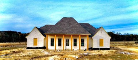 Homes For Sale - 290 Robinson Road<br/> Canton, MS 39046