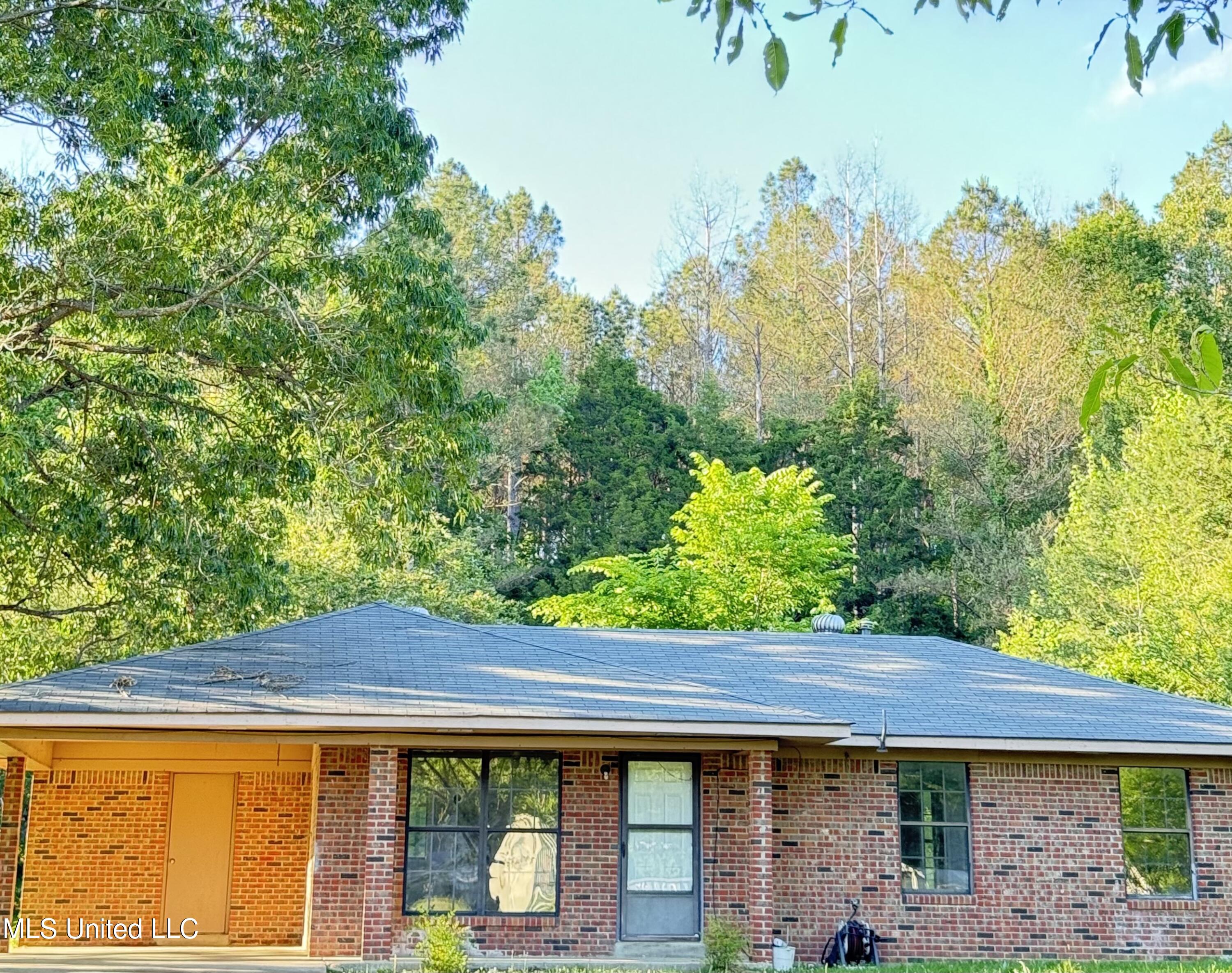 126 Co Rd 122, Carrollton, Mississippi image 1