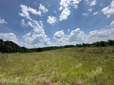 Vacant Land For Sale - 2 County Road 347<br/> Philadelphia, MS 39350