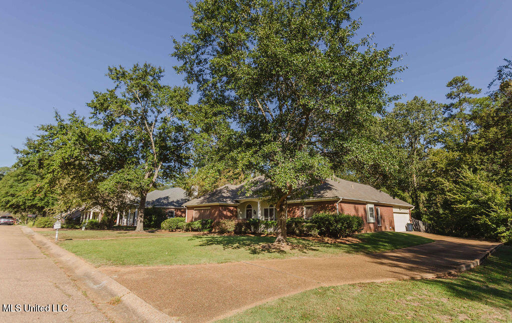 524 Cliffview Drive, Brandon, Mississippi image 23