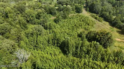 Vacant Land For Sale - Chapel Hill Road<br/> Utica, MS 39175