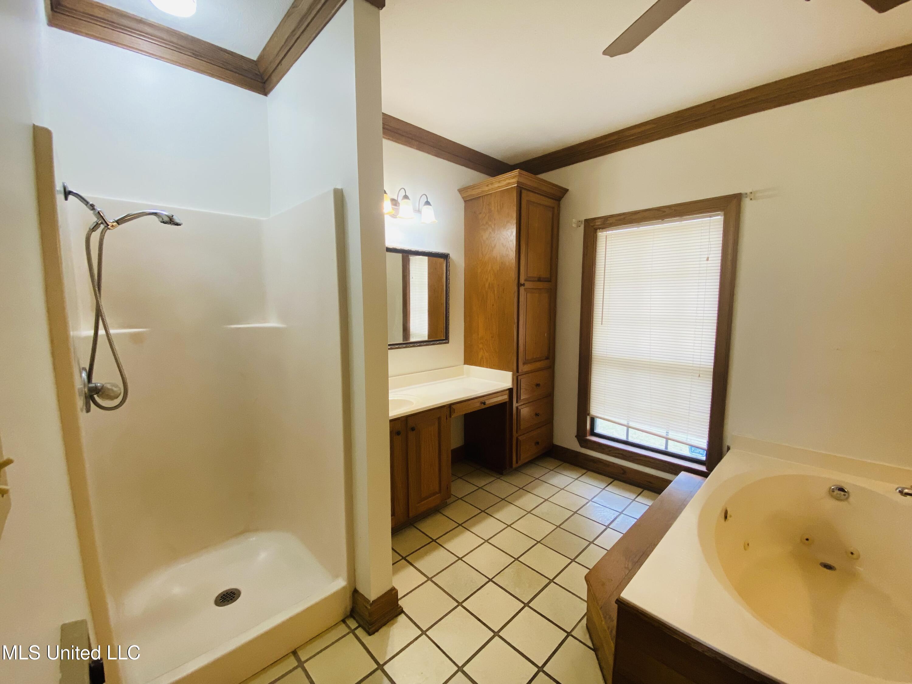 543 N Springlake Circle, Terry, Mississippi image 34