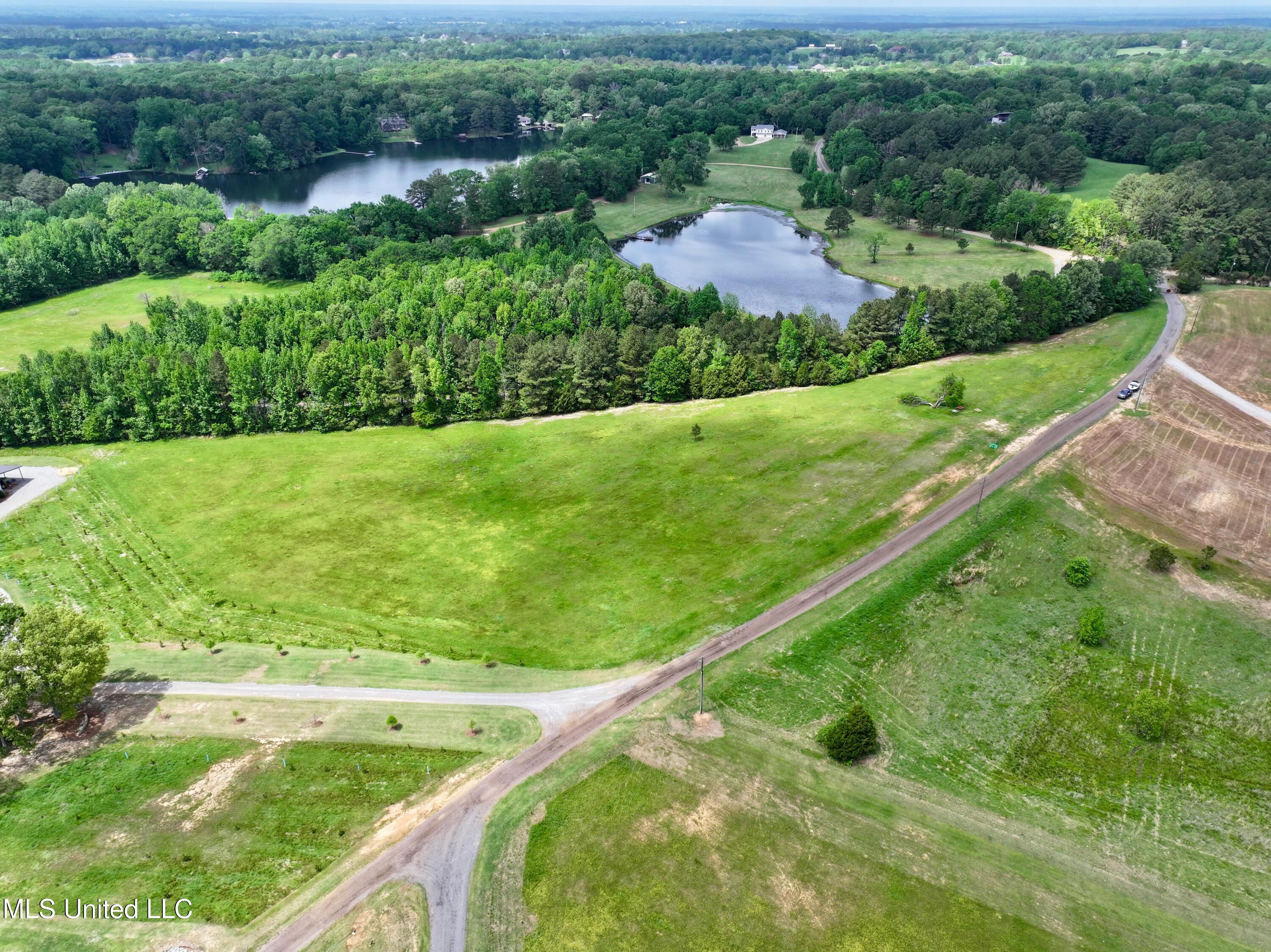 Sandy Lane, Flora, Mississippi image 5