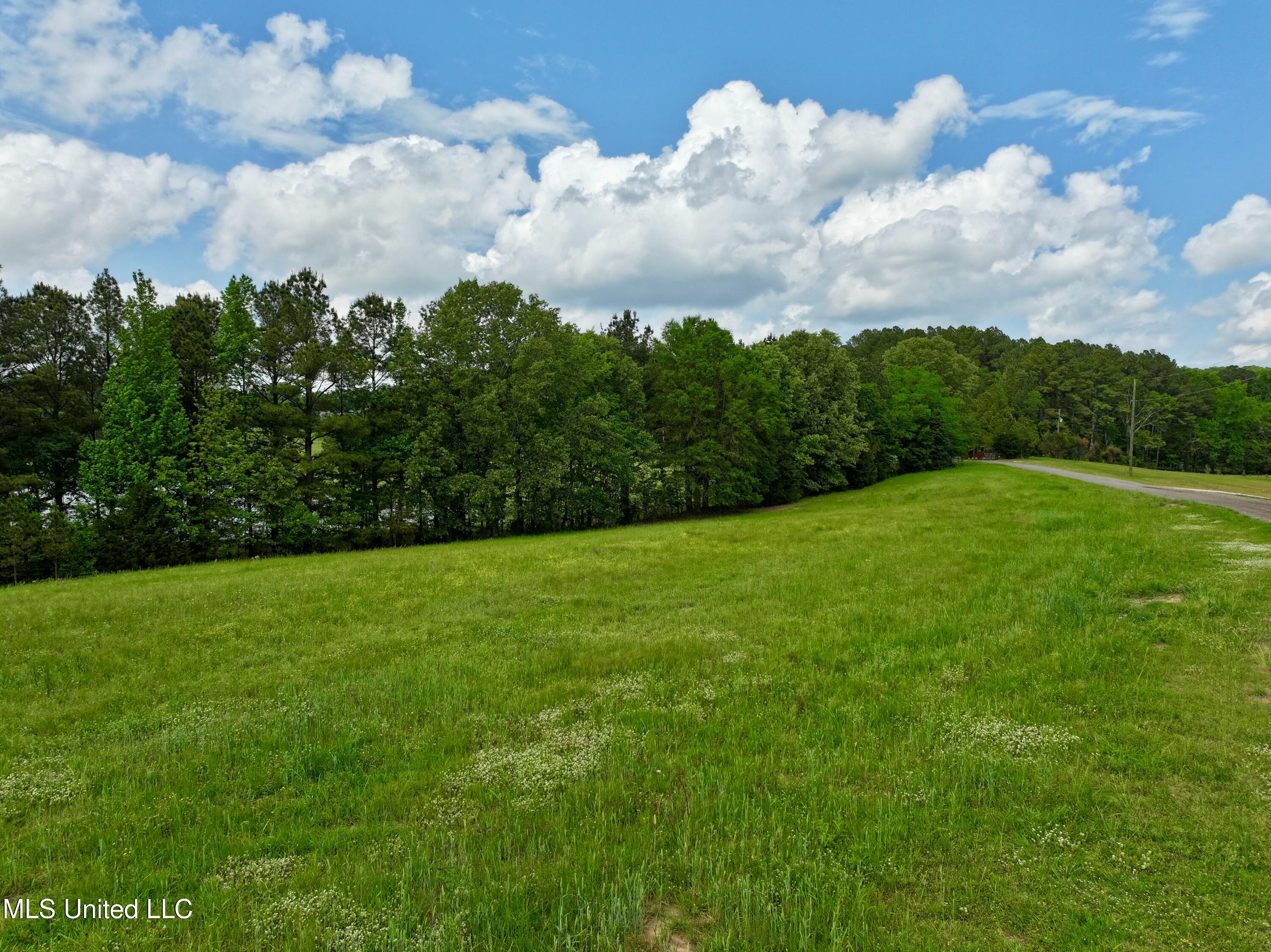 Sandy Lane, Flora, Mississippi image 4