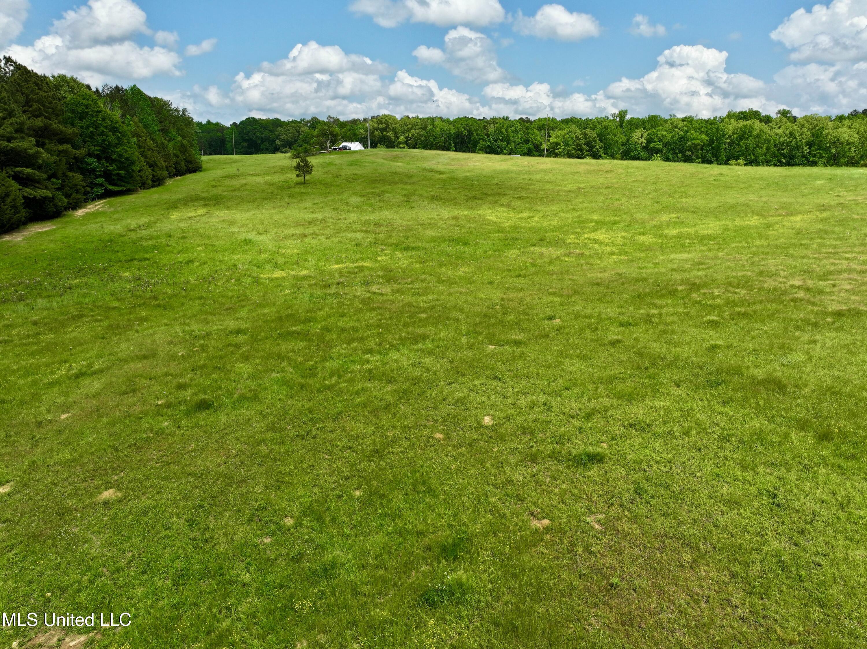Sandy Lane, Flora, Mississippi image 7