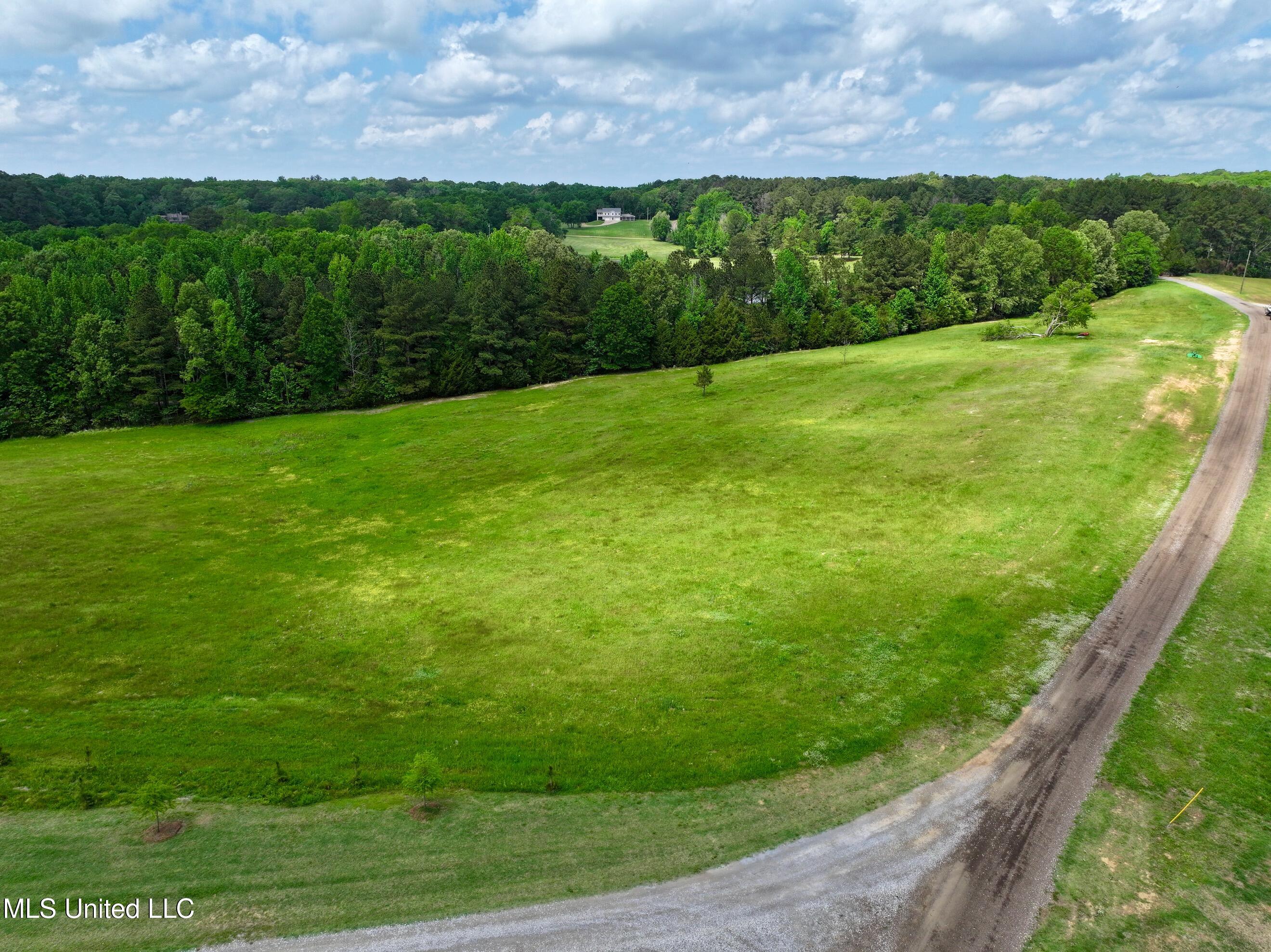Sandy Lane, Flora, Mississippi image 1