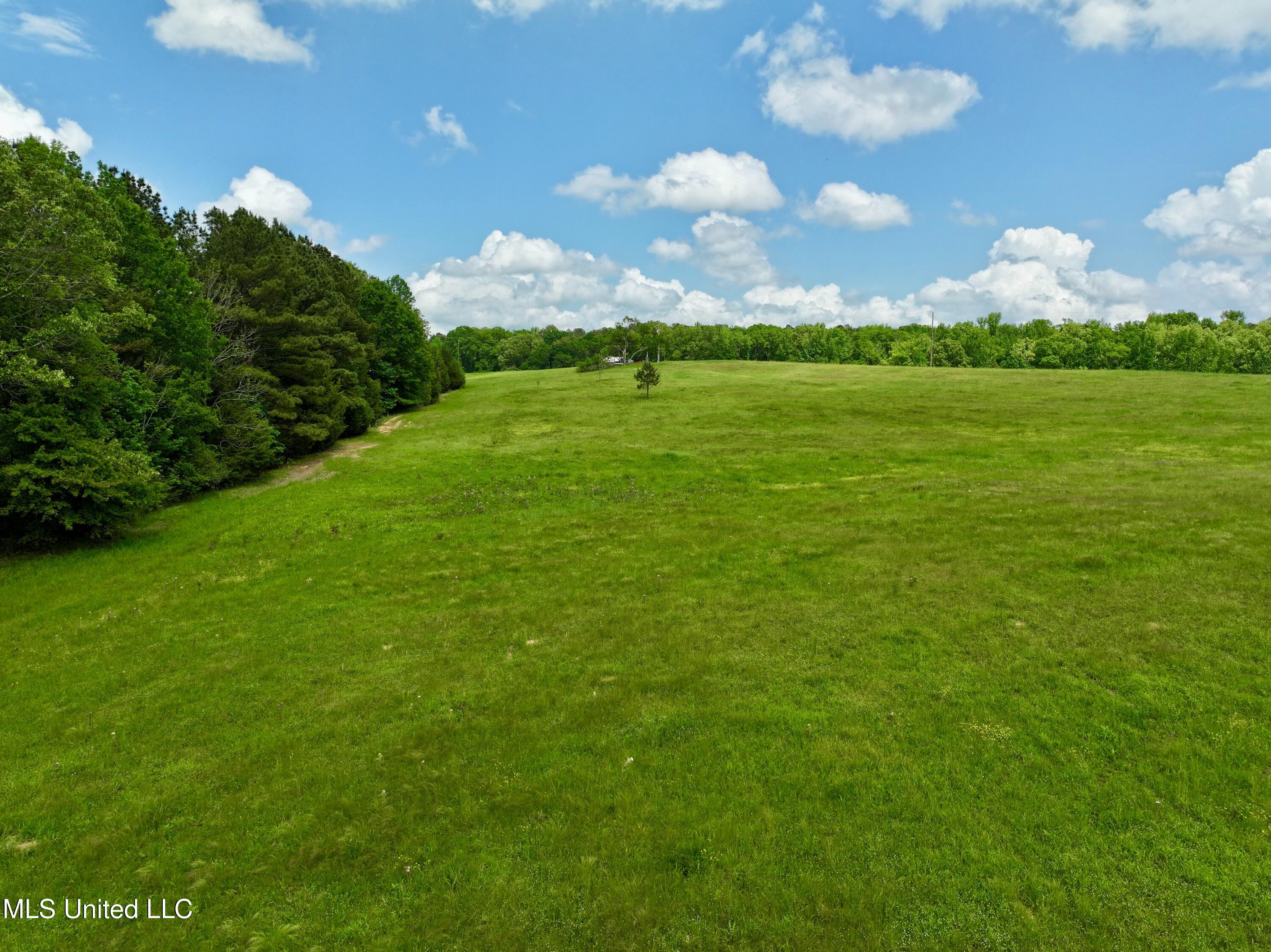 Sandy Lane, Flora, Mississippi image 9