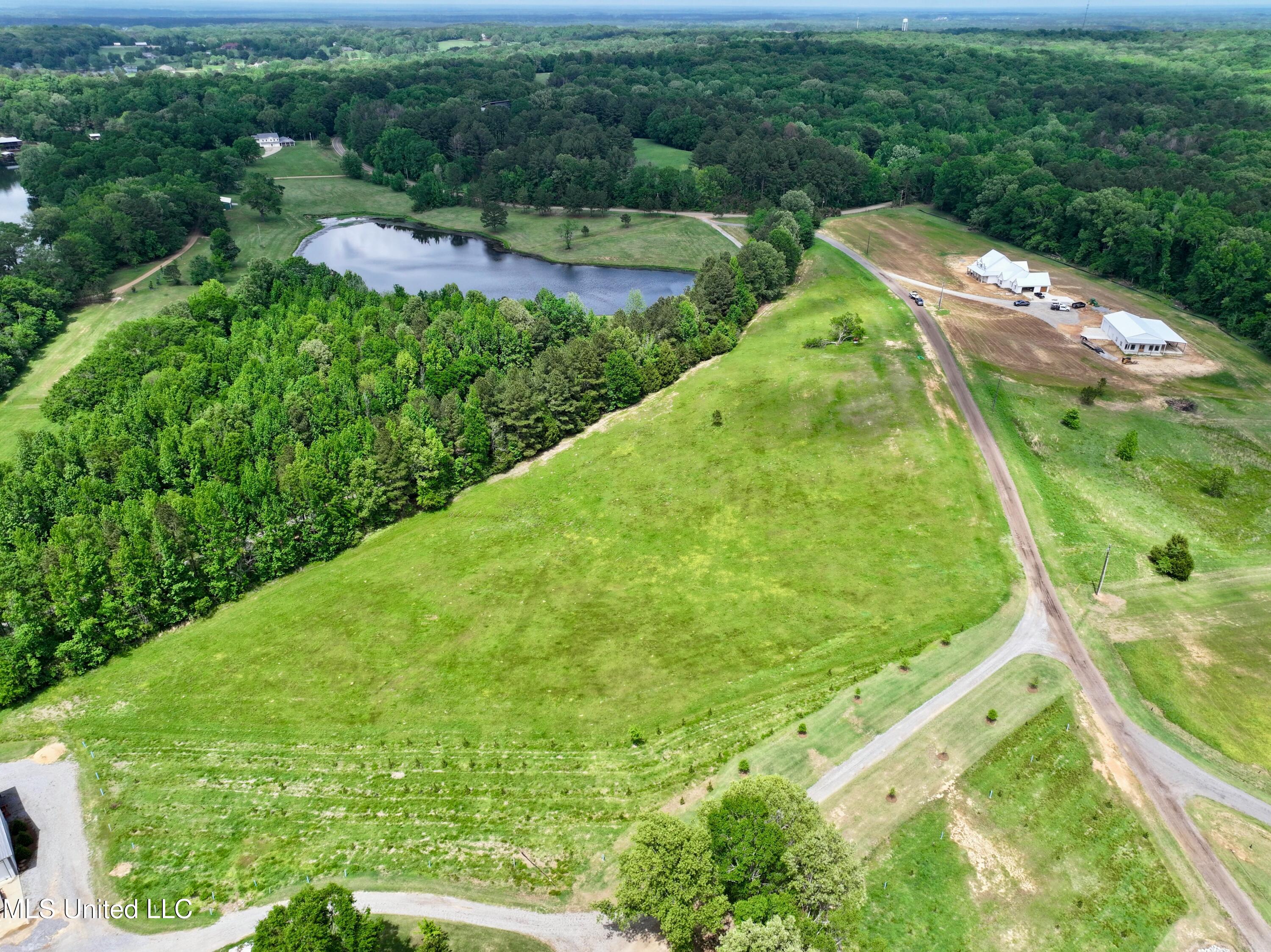 Sandy Lane, Flora, Mississippi image 6