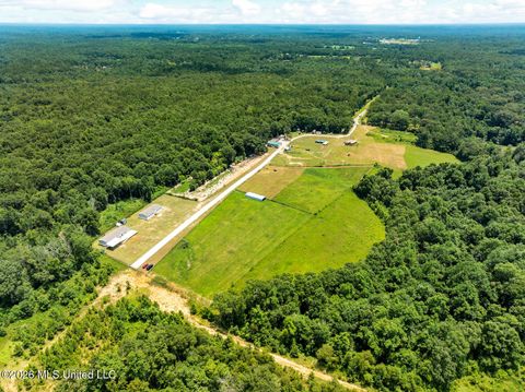 Multifamily For Sale - 137 Sugar Creek Road<br/> Carriere, MS 39426
