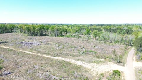 Vacant Land For Sale - Pettey Road<br/> Scott County, Forest, MS 39074