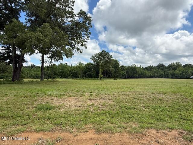 Cedar Crest Cove, Byhalia, Mississippi image 1