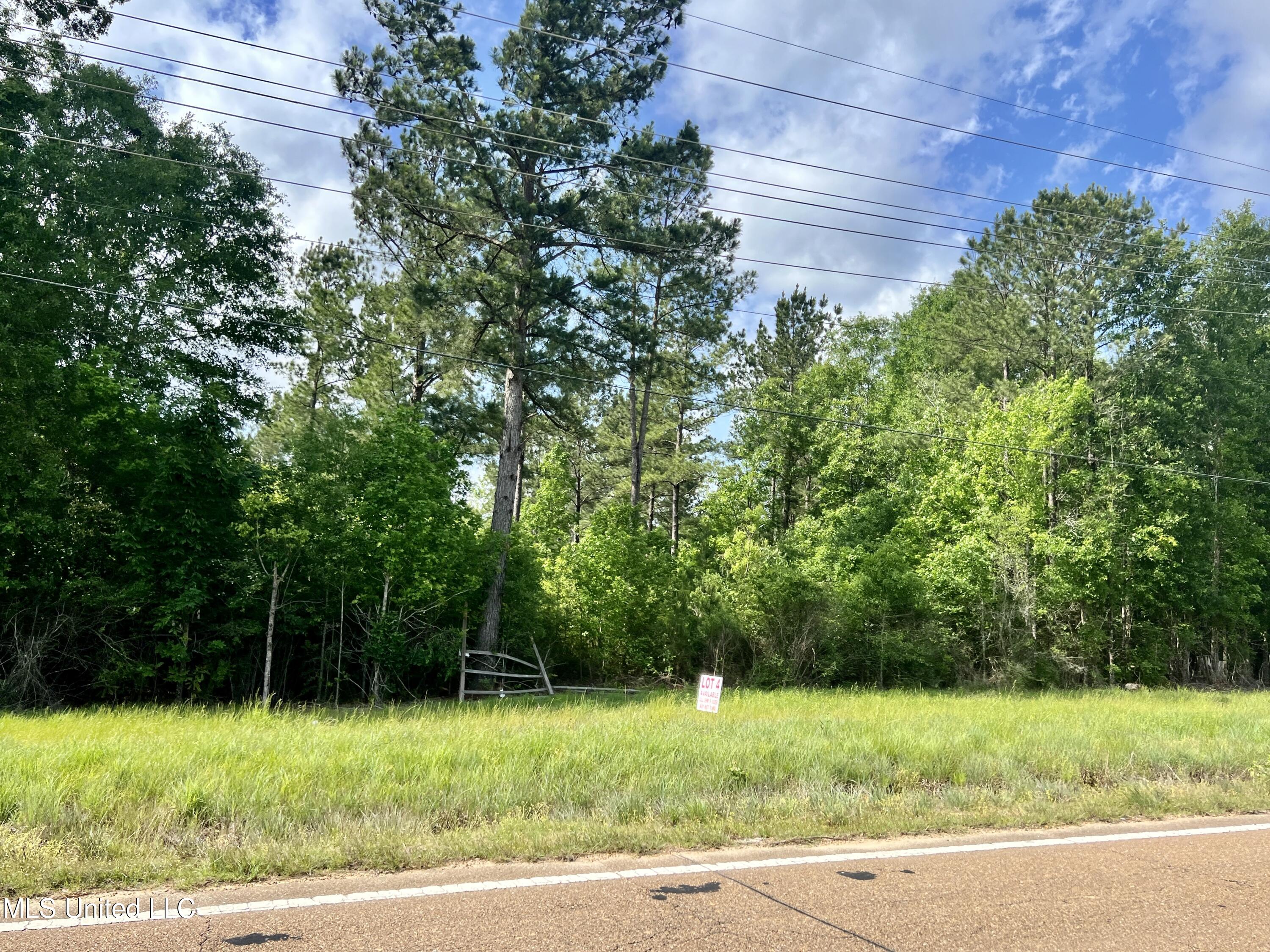 Lot 2 Hwy 24, Centreville, Mississippi image 4