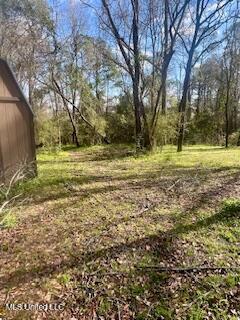 6 Trystan Drive, Petal, Mississippi image 48