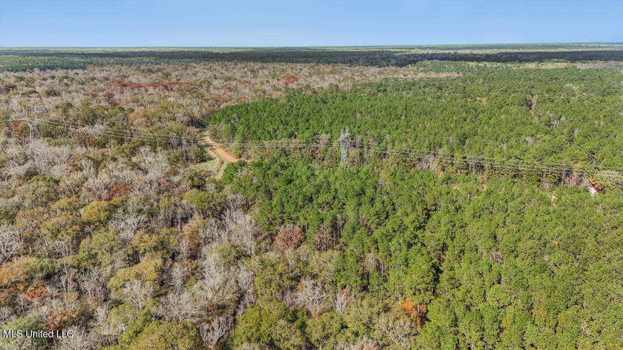 287 Ahrens Lane, Basile, Louisiana image 33