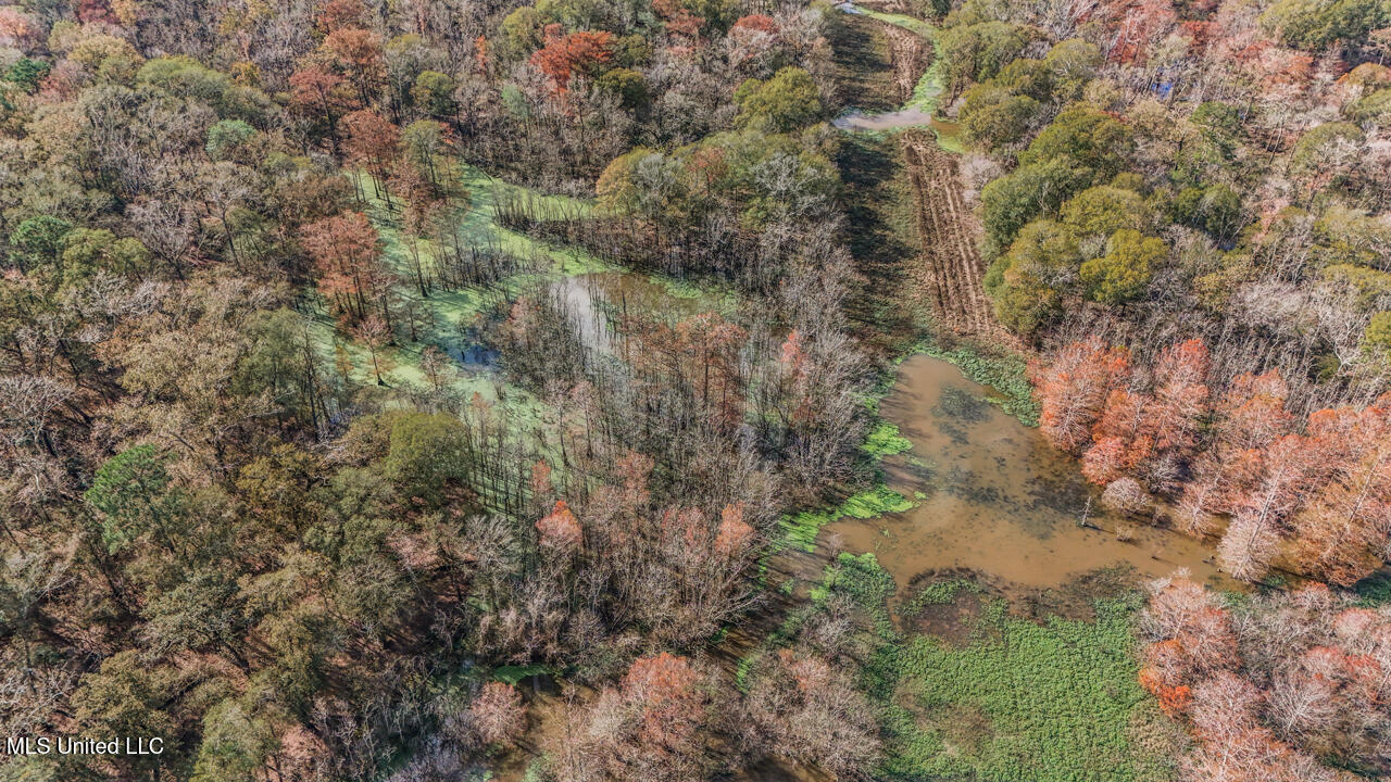 287 Ahrens Lane, Basile, Louisiana image 28