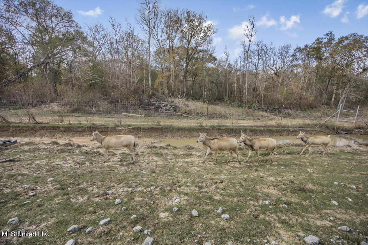 287 Ahrens Lane, Basile, Louisiana image 11