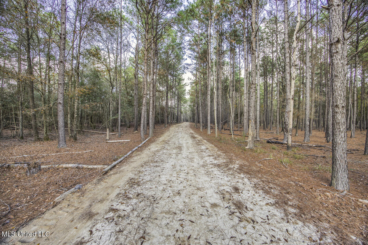 287 Ahrens Lane, Basile, Louisiana image 12