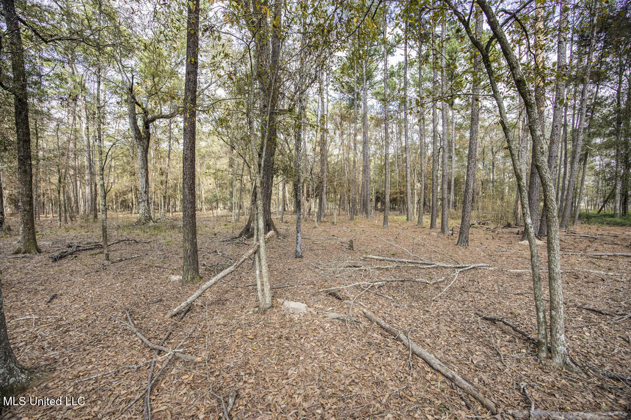287 Ahrens Lane, Basile, Louisiana image 3