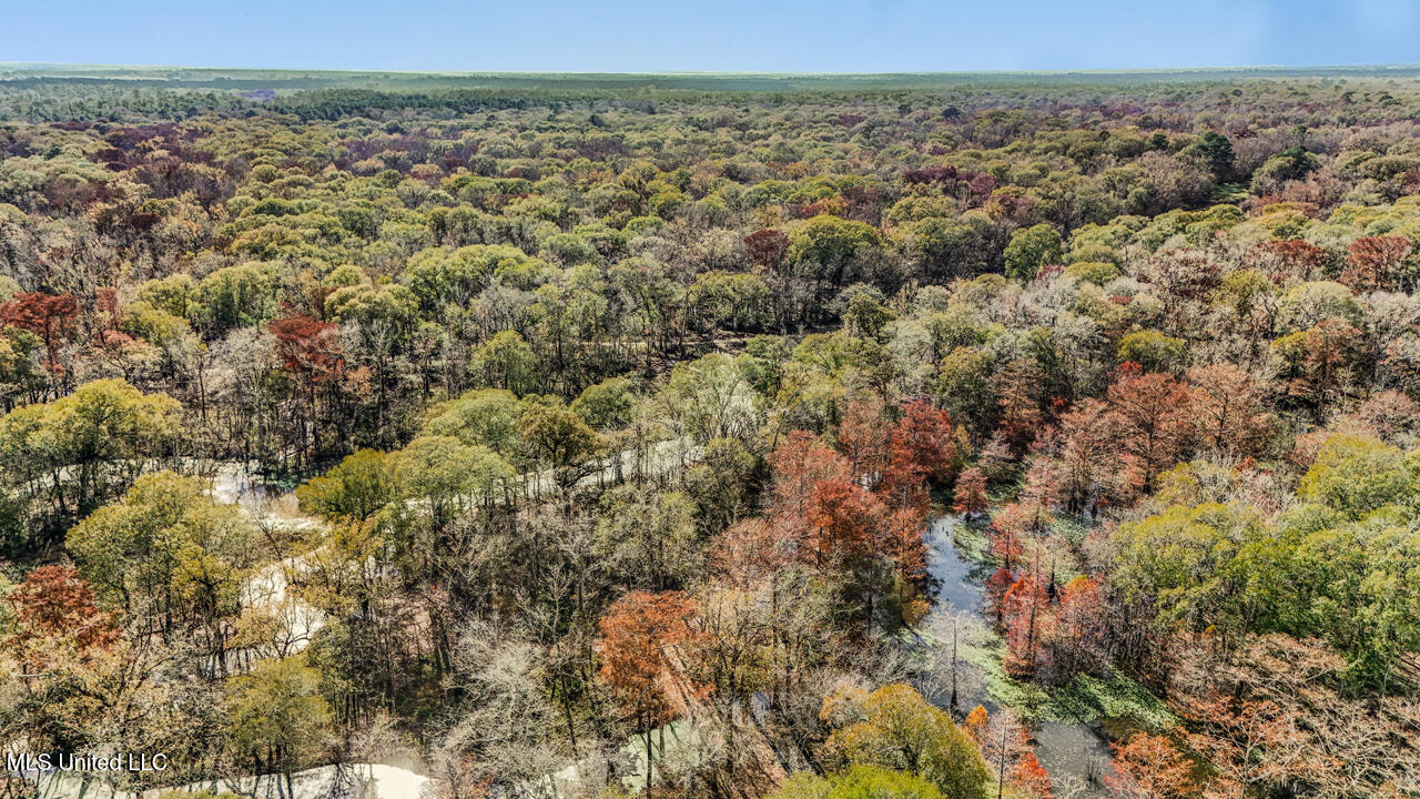 287 Ahrens Lane, Basile, Louisiana image 35