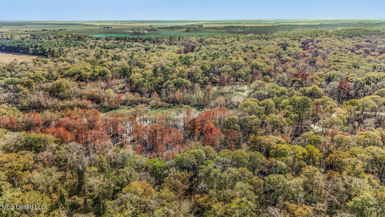 287 Ahrens Lane, Basile, Louisiana image 34