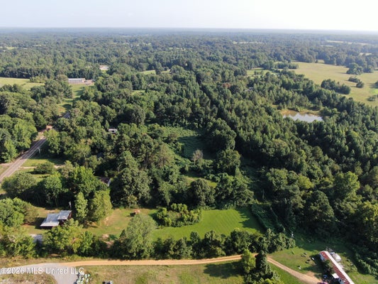 5199 HWY 305, COLDWATER, MS 38618 - Image 843dd92fb68ef61ce51d7c078a3eb0bb/1596450751