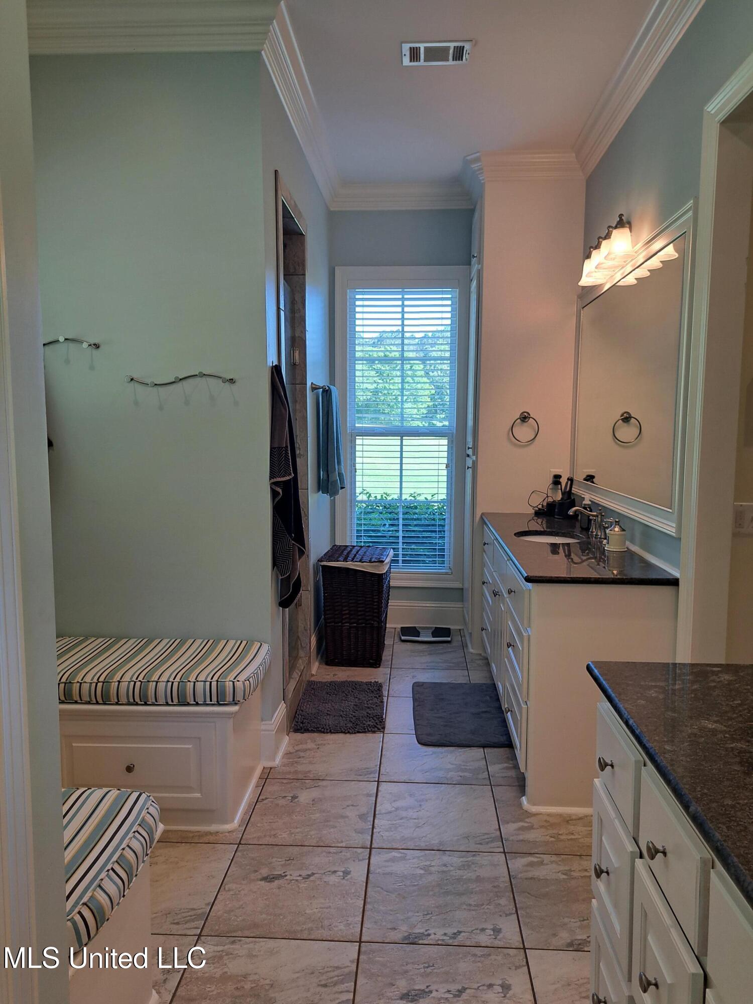 176 Longhorn Drive, Brandon, Mississippi image 24