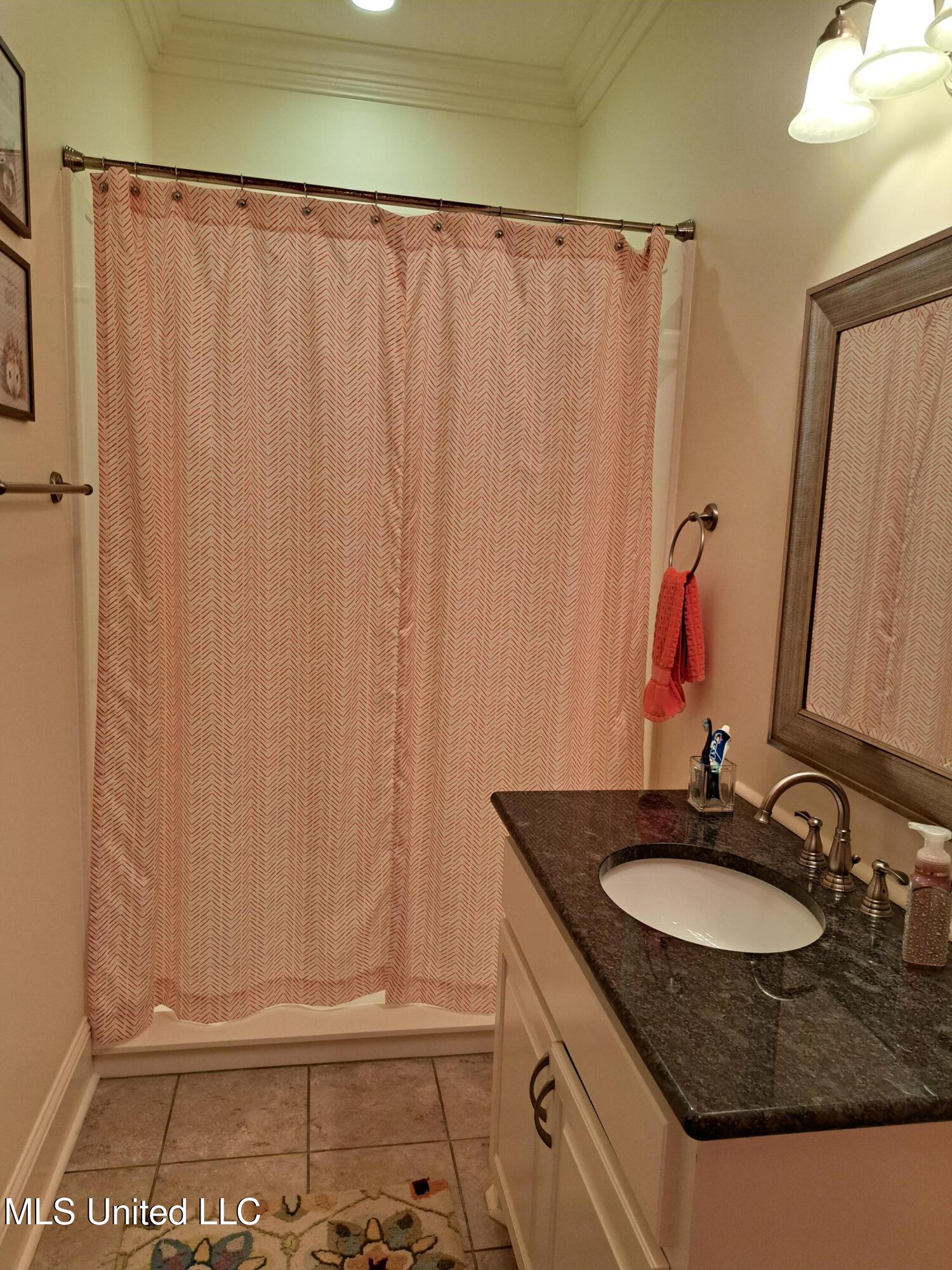 176 Longhorn Drive, Brandon, Mississippi image 20
