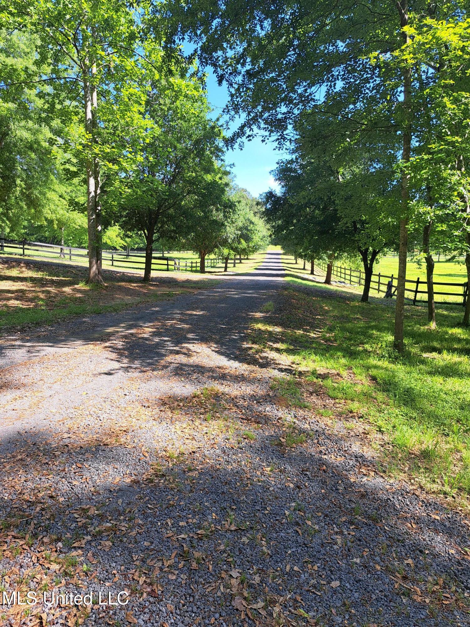 176 Longhorn Drive, Brandon, Mississippi image 49