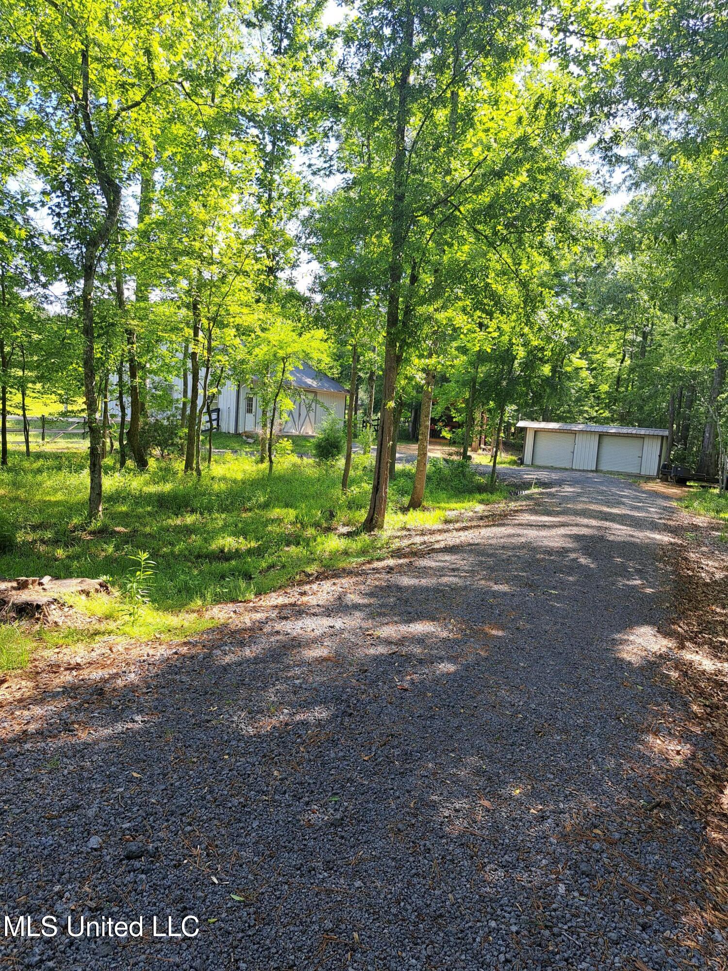 176 Longhorn Drive, Brandon, Mississippi image 38