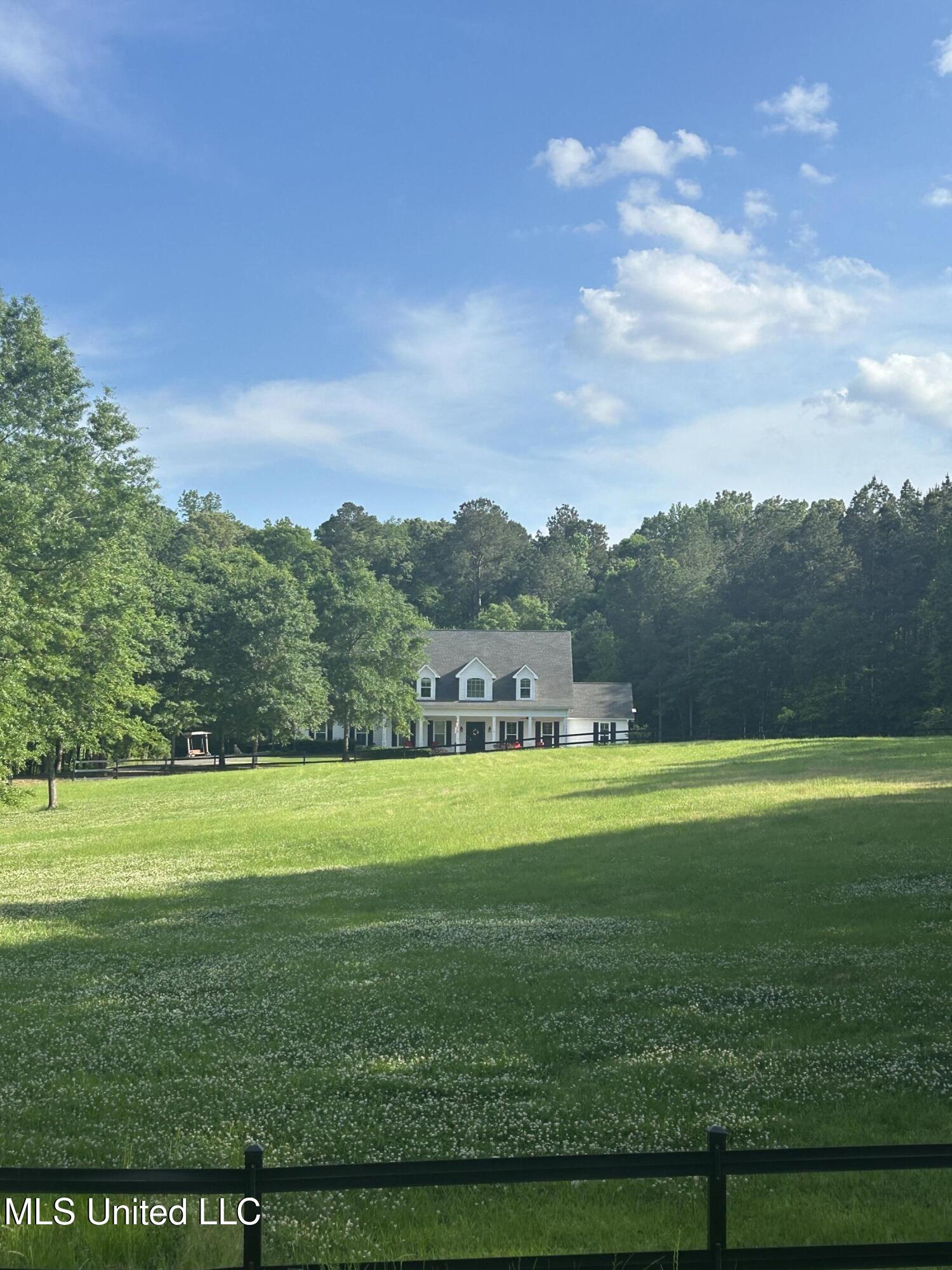 176 Longhorn Drive, Brandon, Mississippi image 1