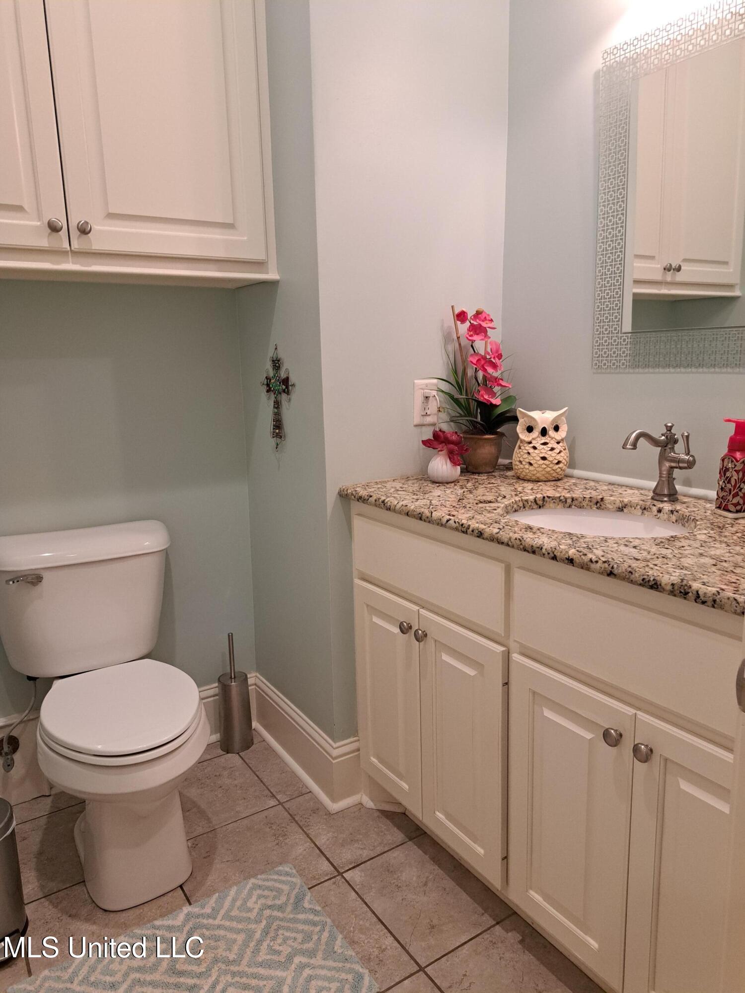 176 Longhorn Drive, Brandon, Mississippi image 14