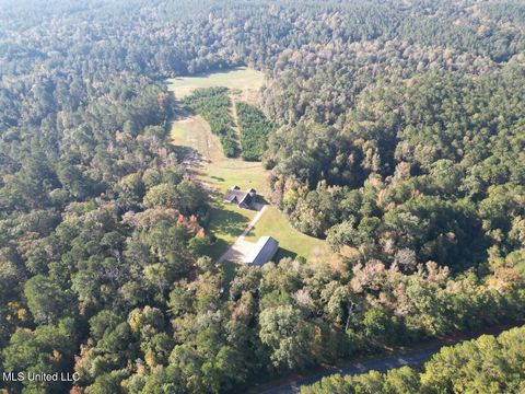 Vacant Land For Sale - 5098 New Hope Road<br/> Amite County, Gloster, MS 39638