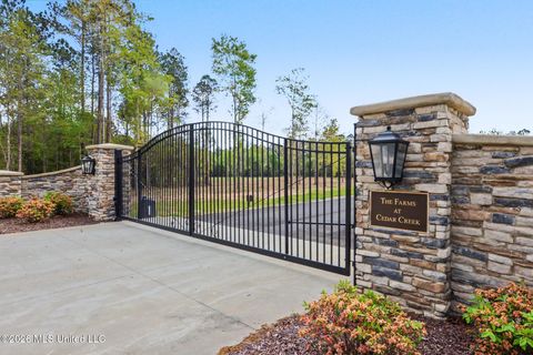Vacant Land For Sale - LOT 10 Pine Ridge Lane<br/> Lucedale, MS 39452