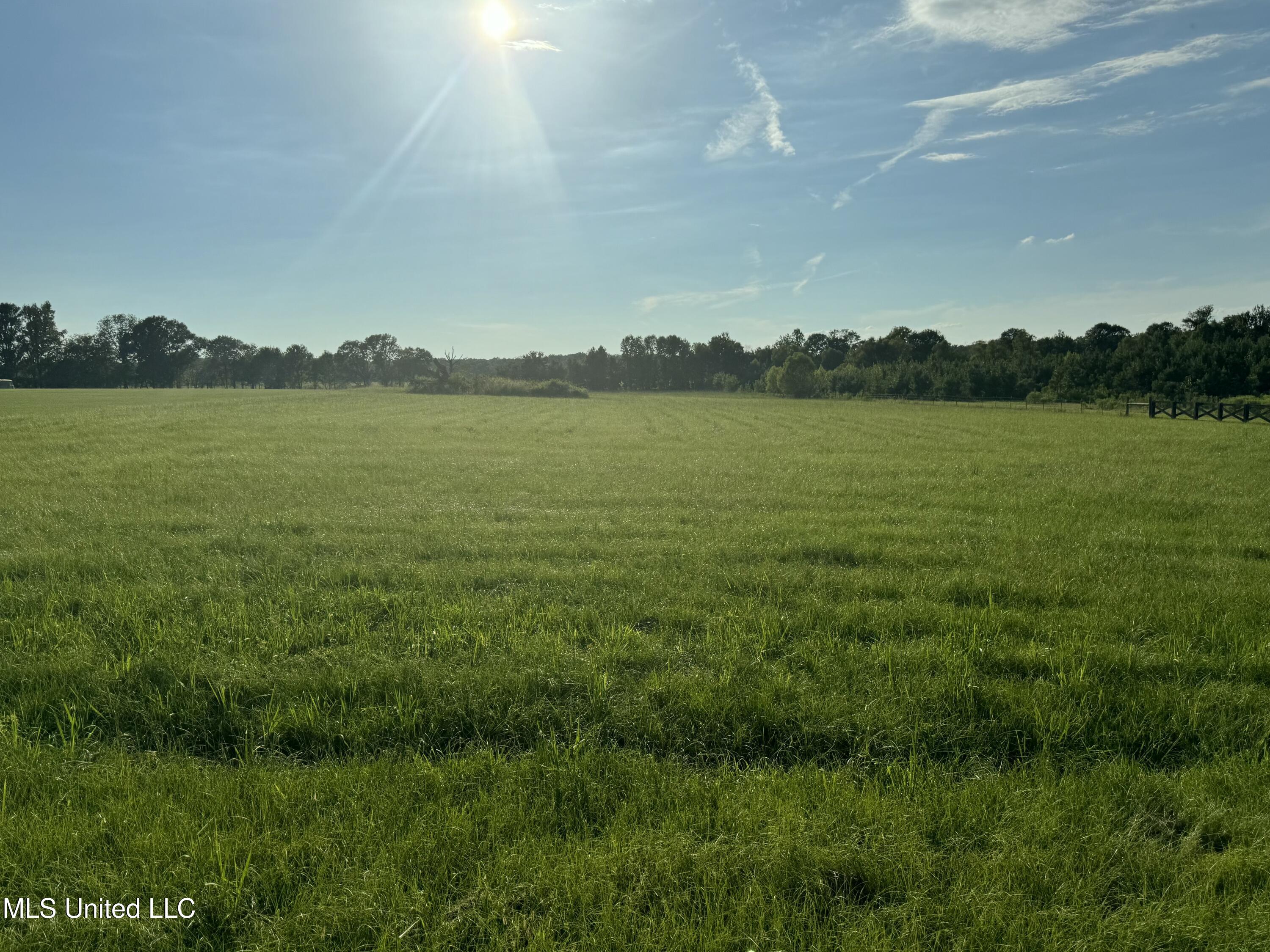 Meadow Oaks Lane, Jackson, Mississippi image 1