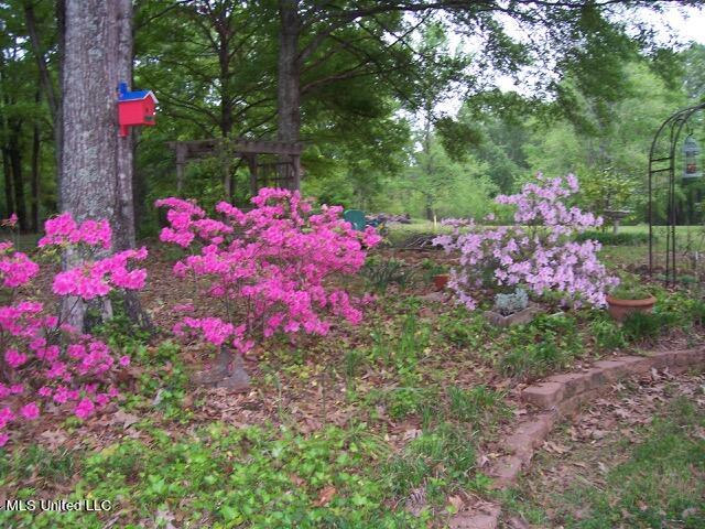 103 Cedar Oaks Drive, Clinton, Mississippi image 42