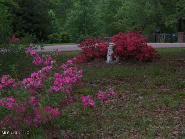 103 Cedar Oaks Drive, Clinton, Mississippi image 43