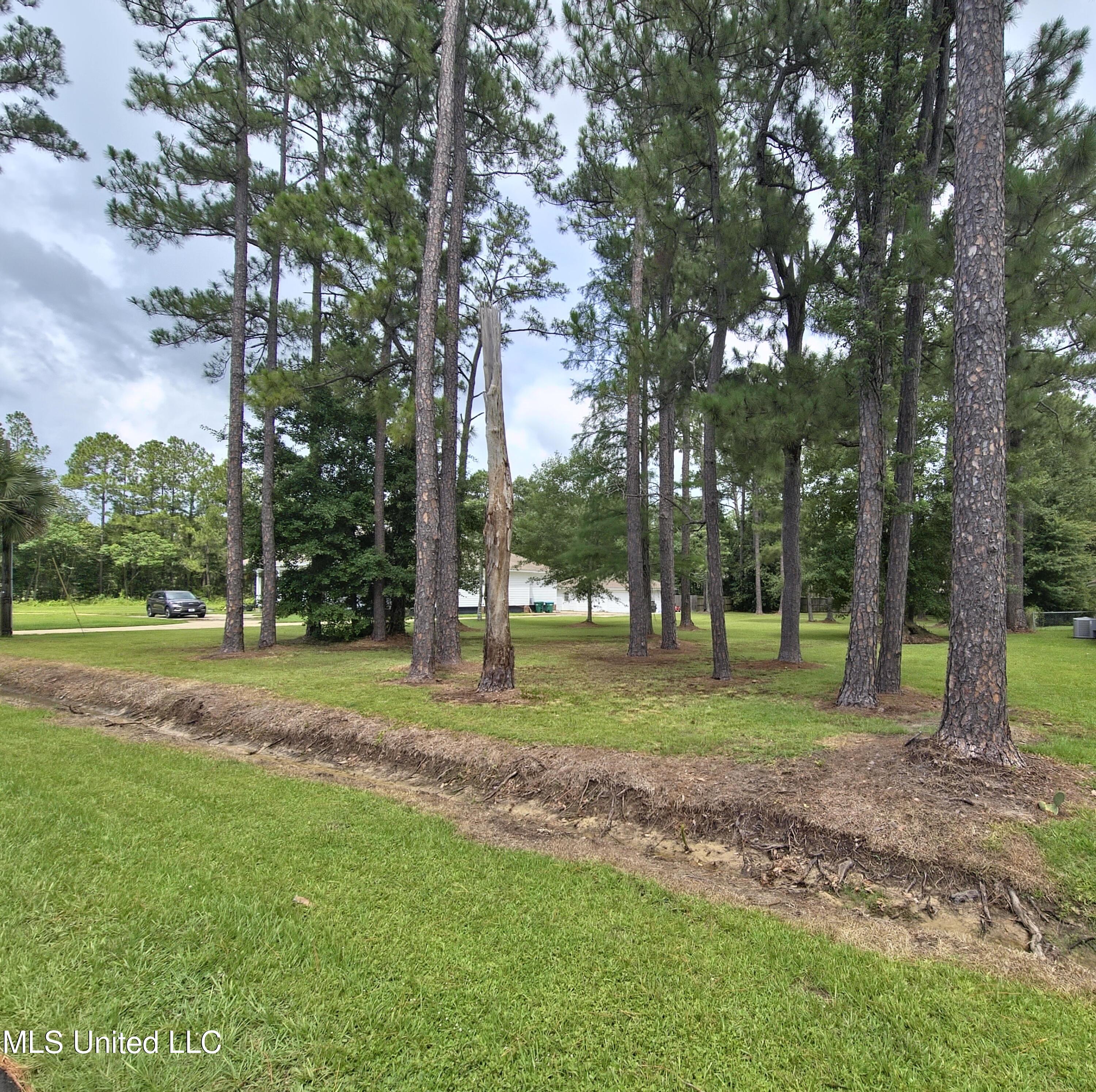 55th Street, Gulfport, Mississippi image 2