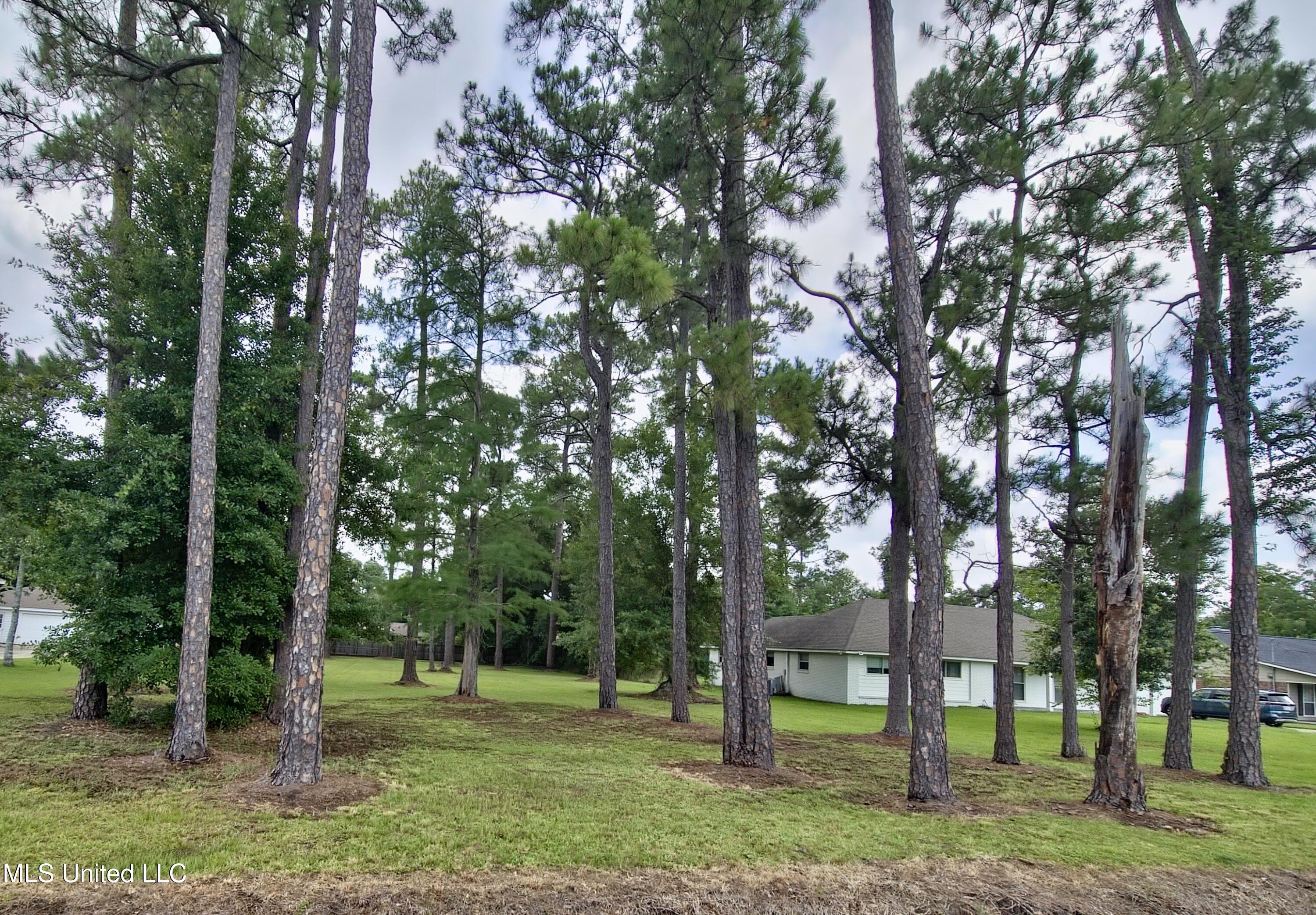 55th Street, Gulfport, Mississippi image 3