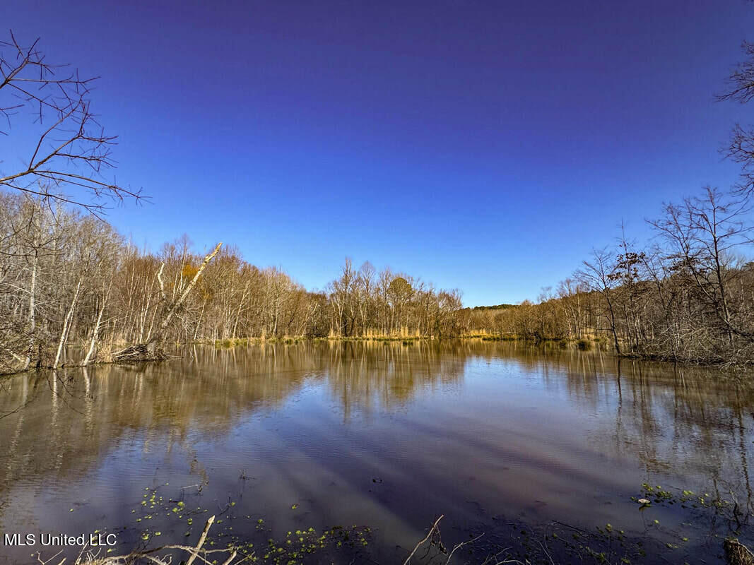 3114 212a Country Road, Water Valley, Mississippi image 40