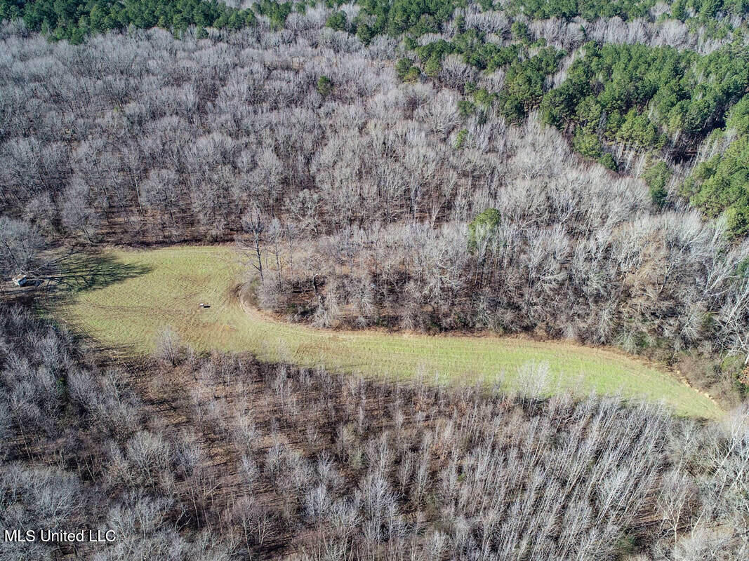 3114 212a Country Road, Water Valley, Mississippi image 18