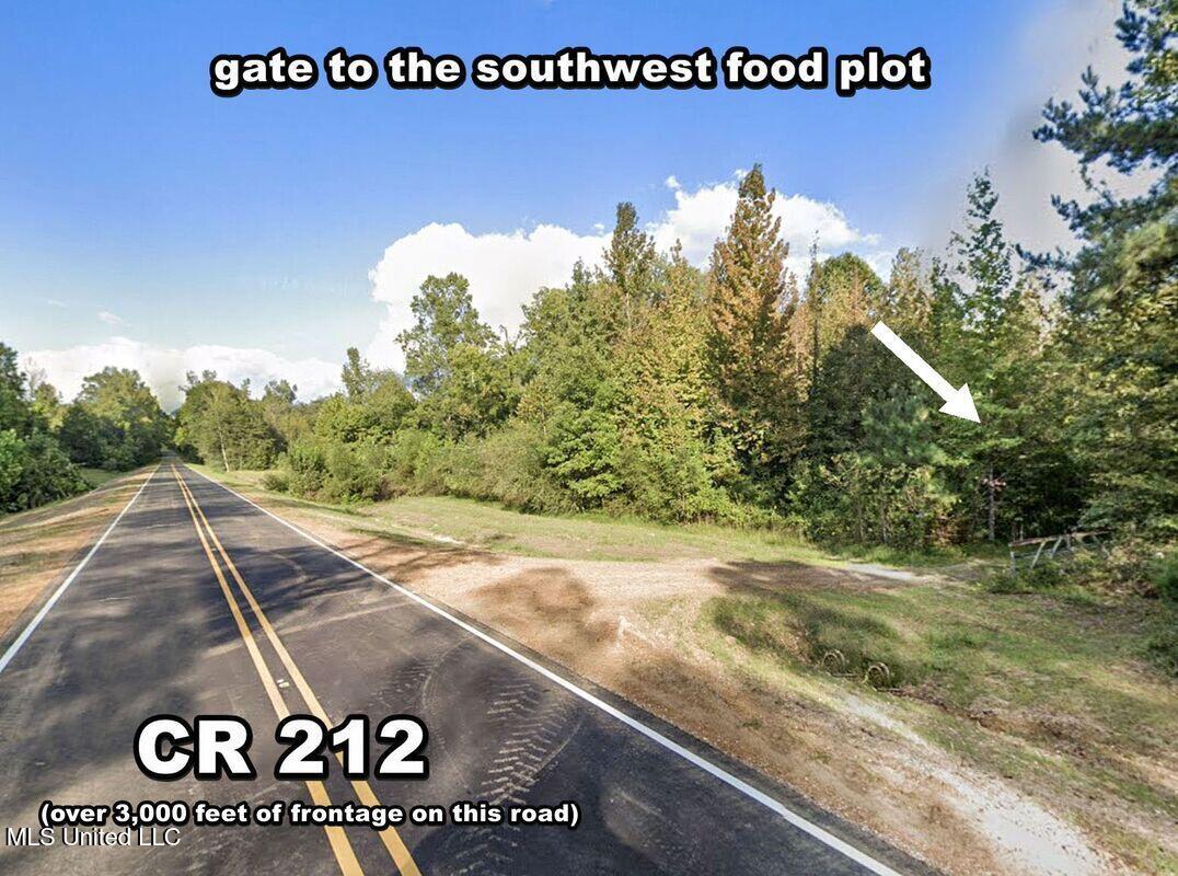 3114 212a Country Road, Water Valley, Mississippi image 44