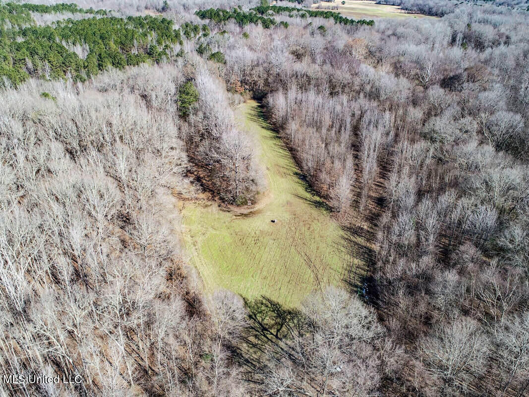 3114 212a Country Road, Water Valley, Mississippi image 13